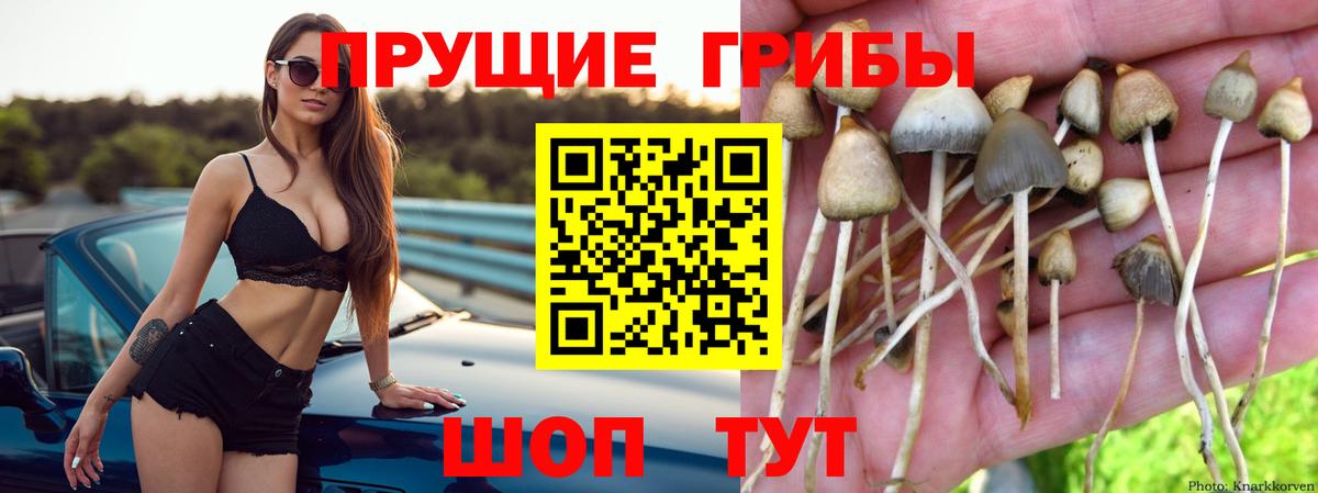 Галлюциногенные грибы ЛСД  Вход с VPN  Фролово 